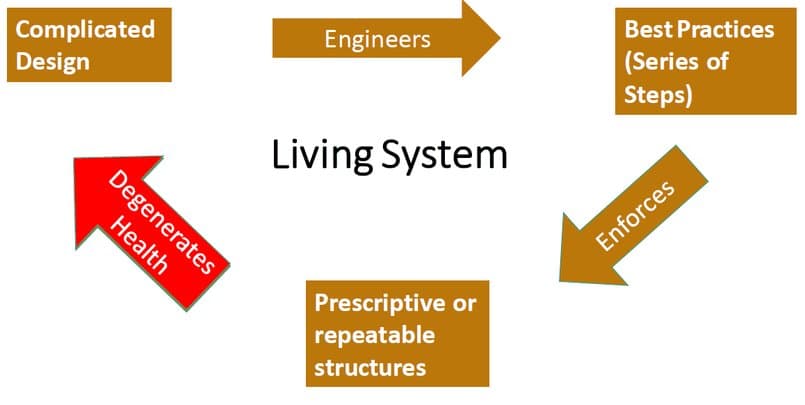 Living System cycle