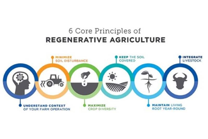 Regenerative Agriculture Principles