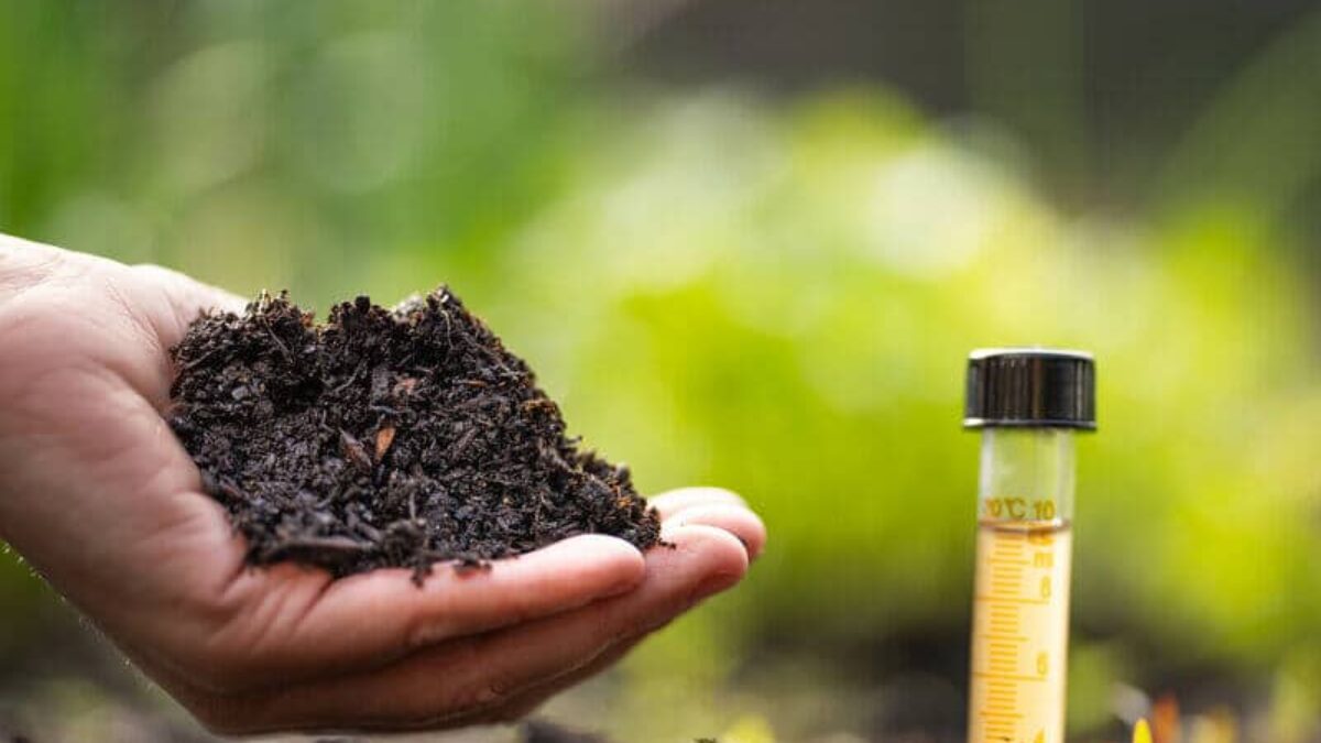 soil regenerative production with testing tube