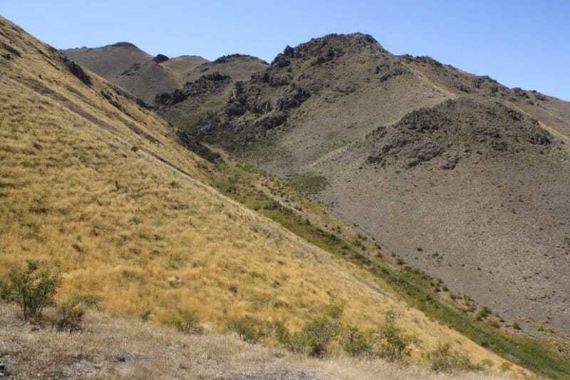 Brittle farming environment in Central Otago, NZ. 