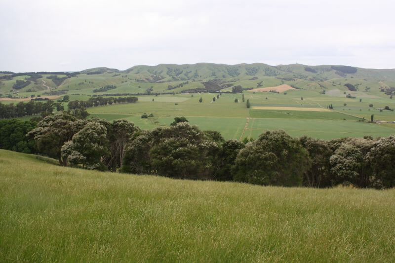 South Island High Country Beef & Sheep Farm