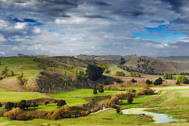 New Zealand landscape
