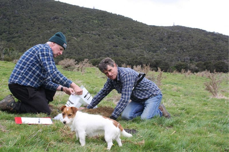 Dr Hugh Jellie and co farmer investigating soil health